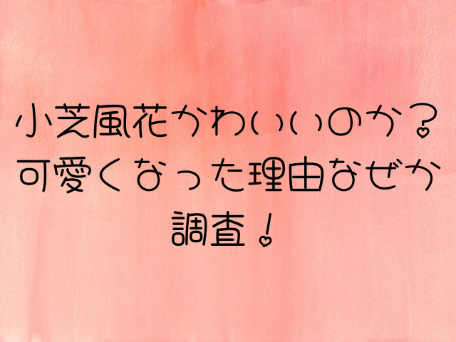 小芝風花かわいいのか？可愛くなった理由なぜか調査！